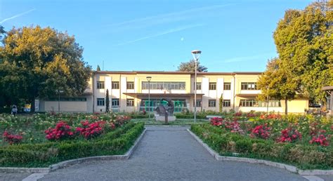 scuola prada montevarchi|prada montevarchi.